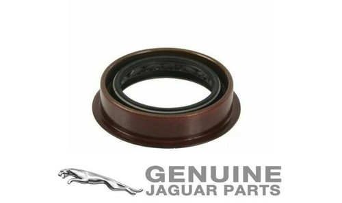 Genuine jaguar type - jaguar, x